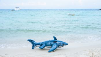 Inflatable Toy Shark On Shore At Beach