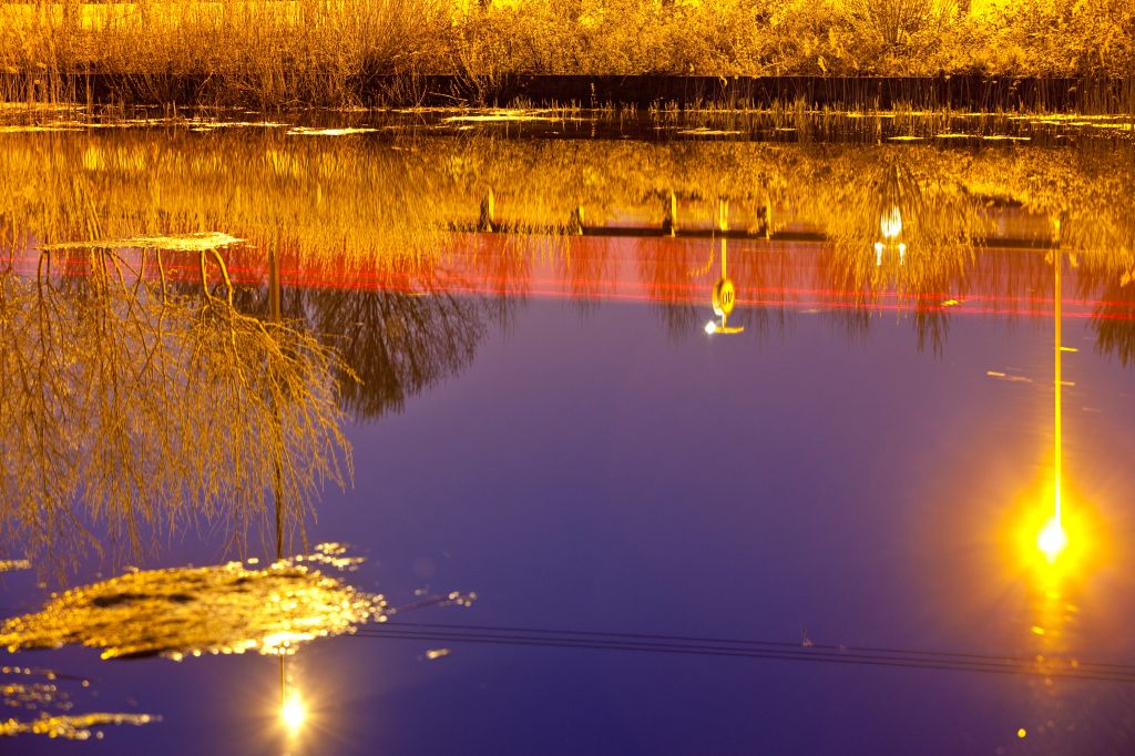 City pond at night with reflected light trails and street lights