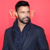 Premiere Of 'The Assassination Of Gianni Versace: American Crime Story'