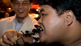 China, Beijing, eating scorpions skewers in Donghuanmen night market