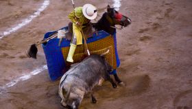 High angle view of a bull fighting, Plaza De Toros San Marcos, Aguascalientes, Mexico