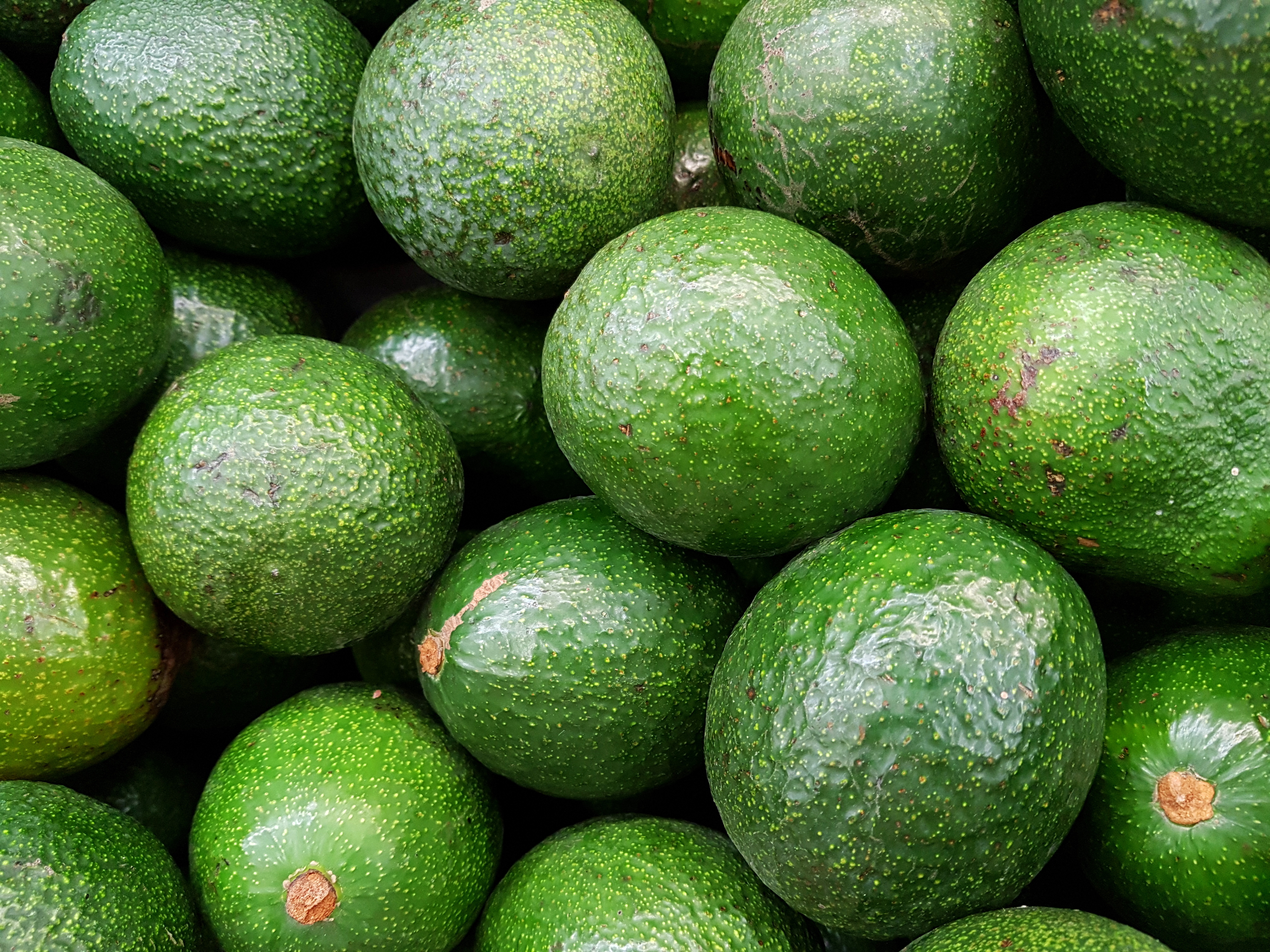 Avocado at the market, full frame