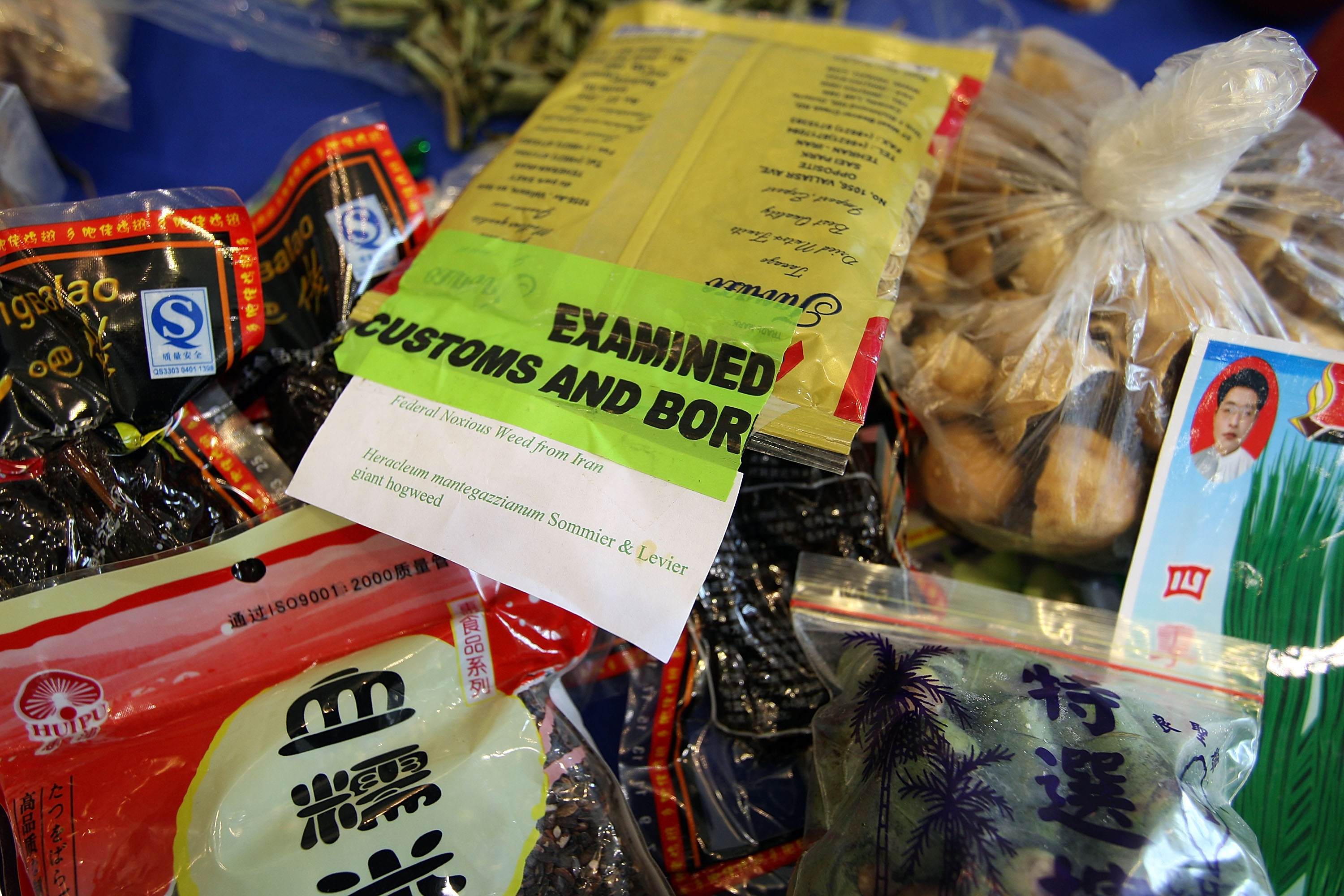 US Customs And Border Patrol Processes Holiday Travelers