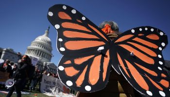 DACA Protestors Rally At U.S. Capitol For Action For DREAMers