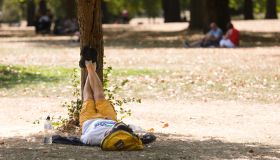 Man Lying On Grass With Feet Resting On A Tree