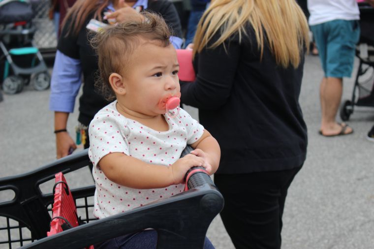 2018 Taco & Beer Fest