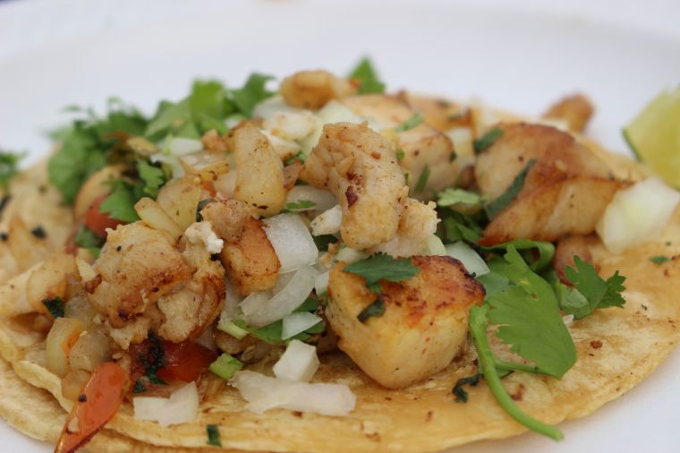 2018 Taco & Beer Fest