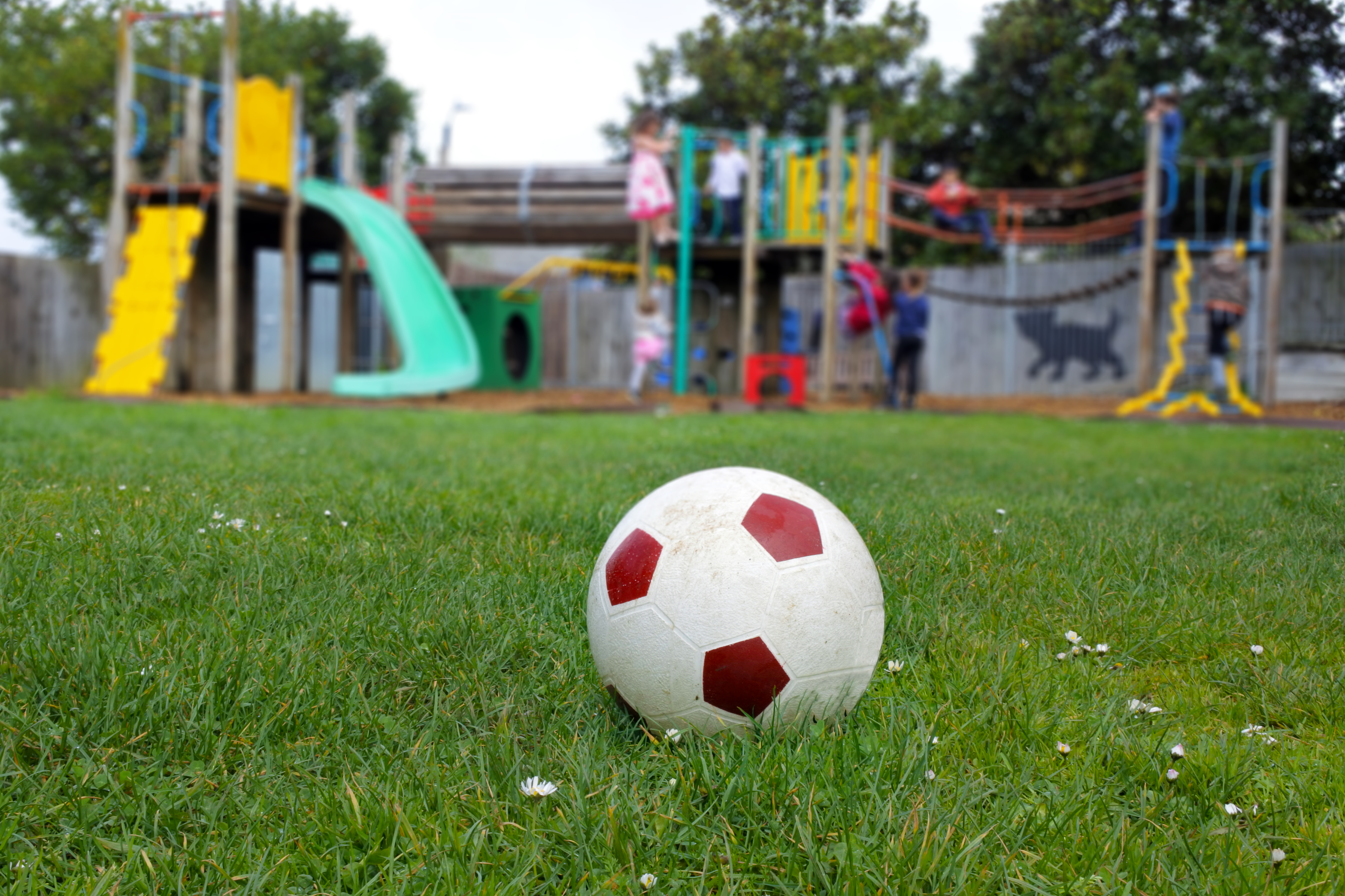 Soccer Ball Resting on a Green Grass at the Playground