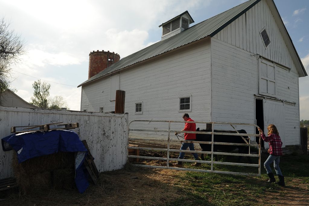 Moore Farm and city of Arvada partners with 4-H program.