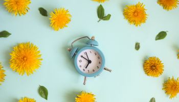 Retro alarm clock. Floral picture. Yellow flowers over pastel blue background. Spring vibrant flowers dandelions.