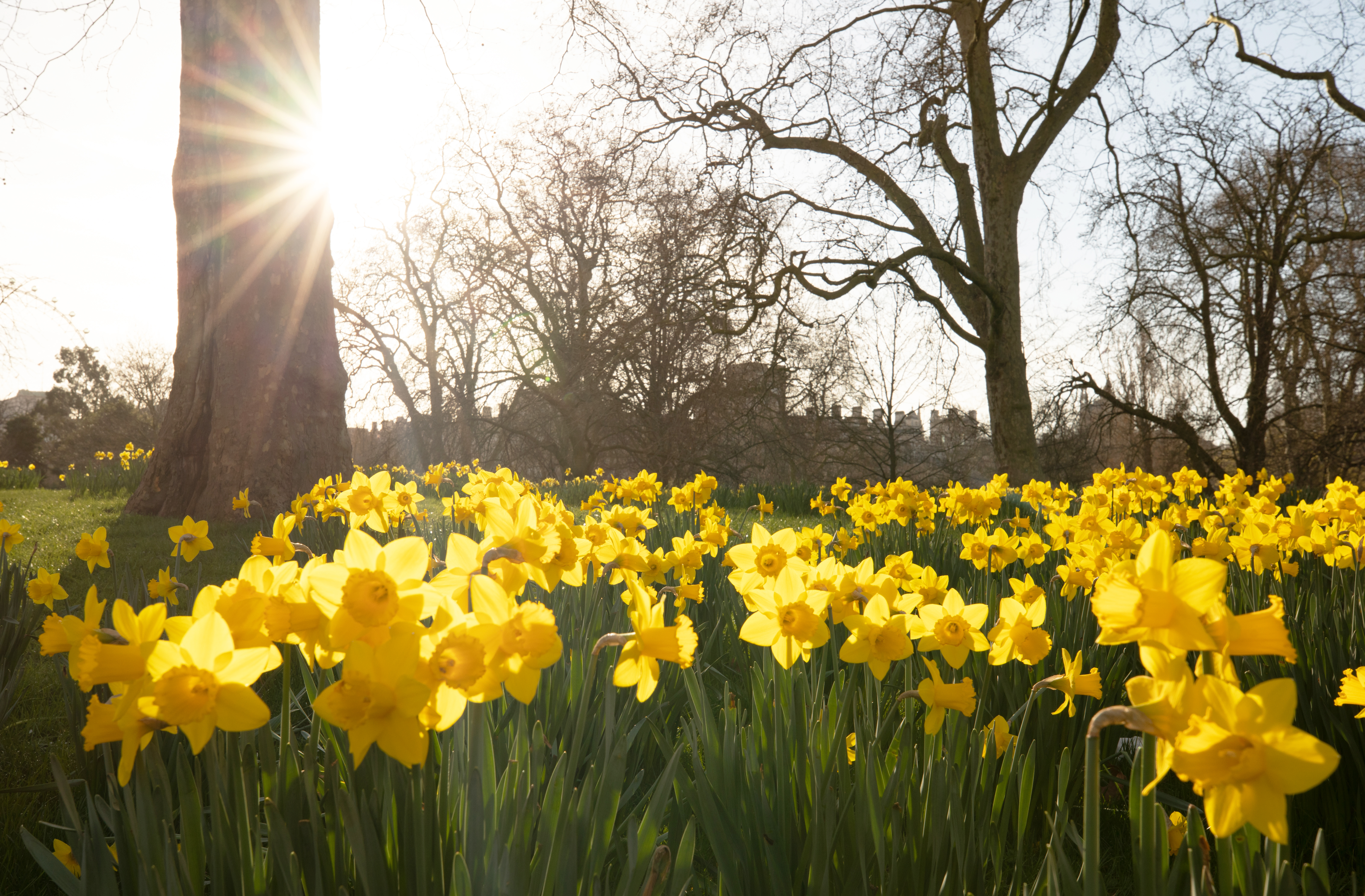 Spring scenes across London, United Kingdom