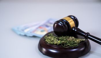The cannabis leaf and judge gavel,Marijuana concept,Marijuana,Law