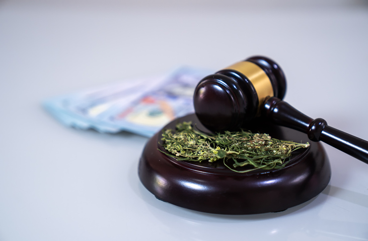 The cannabis leaf and judge gavel,Marijuana concept,Marijuana,Law