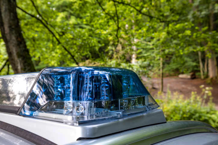 Police light in the forest