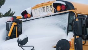 School Closed for Snow Day School Buses