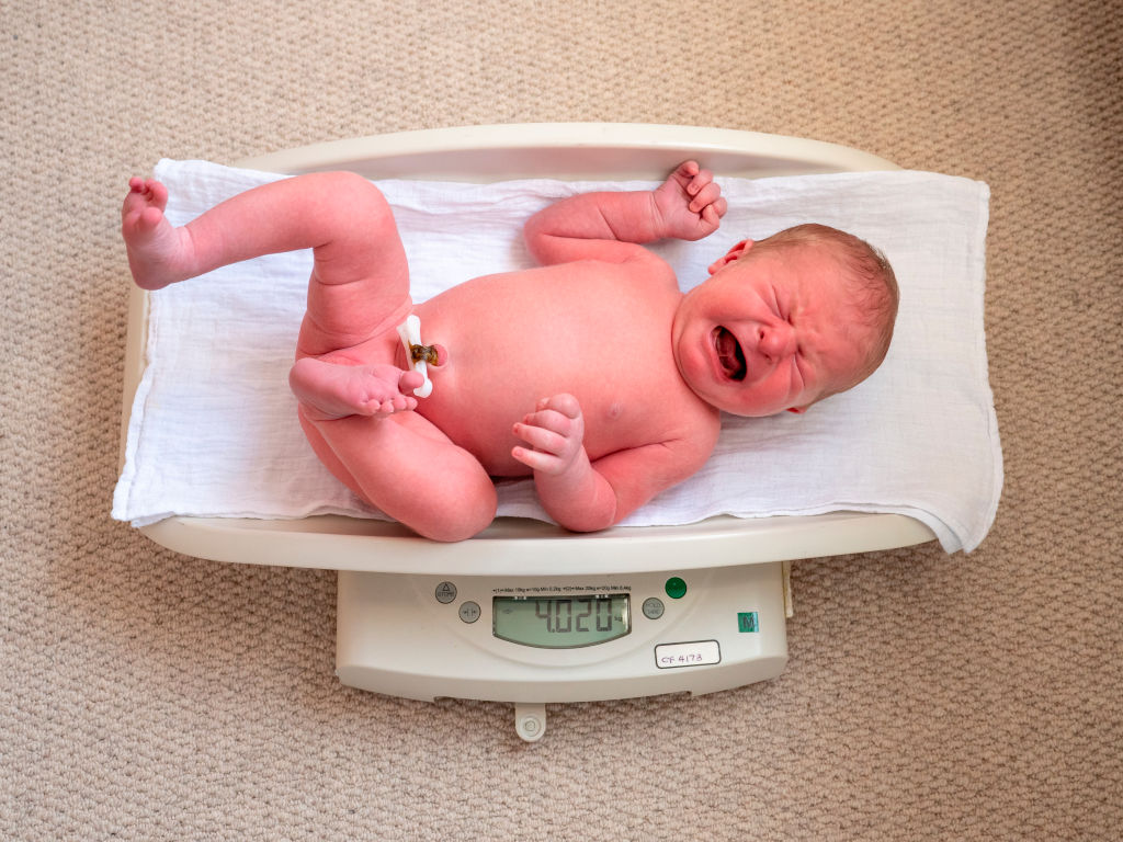 5 day old newborn baby boy being weighed on scales during midwife home visit, UK
