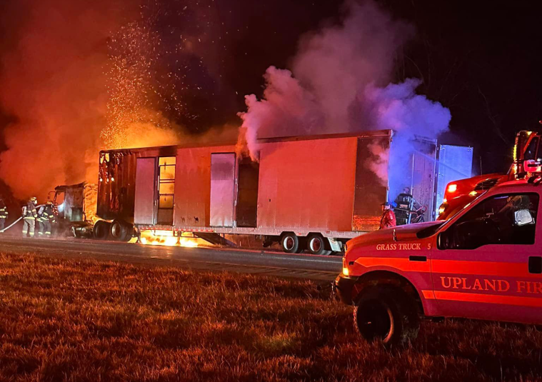 Zebras, Camels Indiana