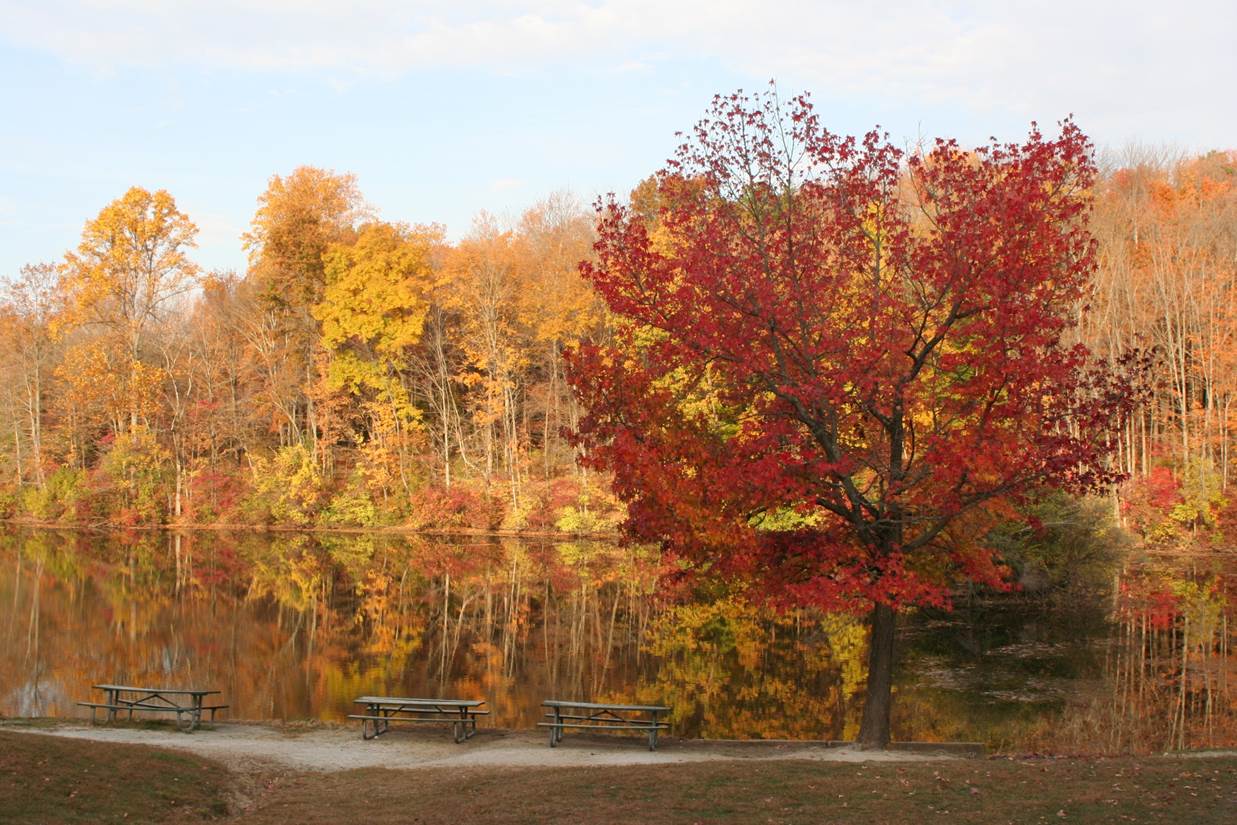Un Picnic en Eagle Creek Park: