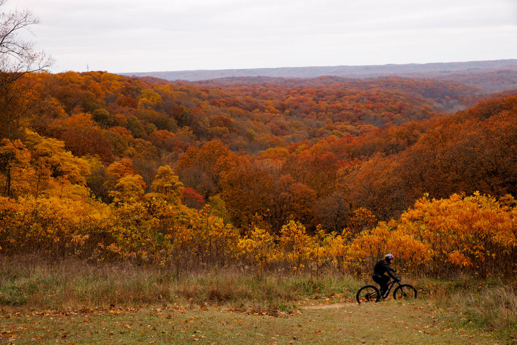 Un Fin de Semana en Brown County State Park