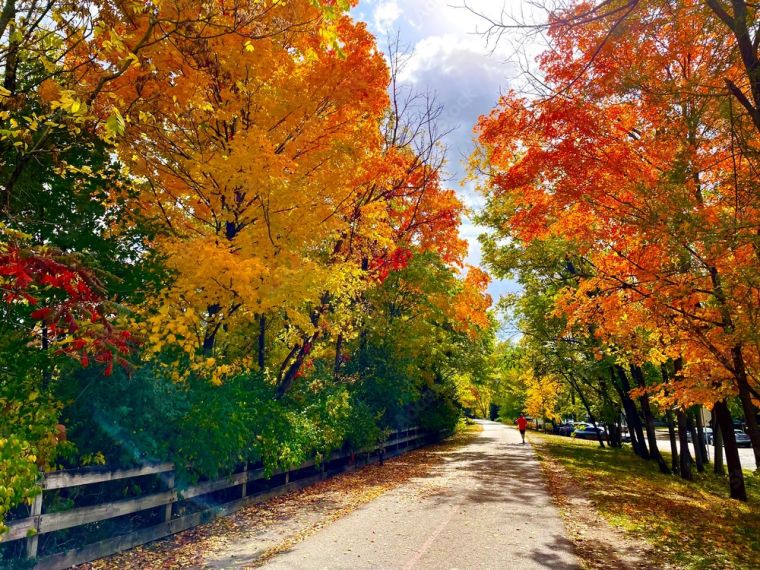 Un Paseo en Bicicleta por el Monon Trail: