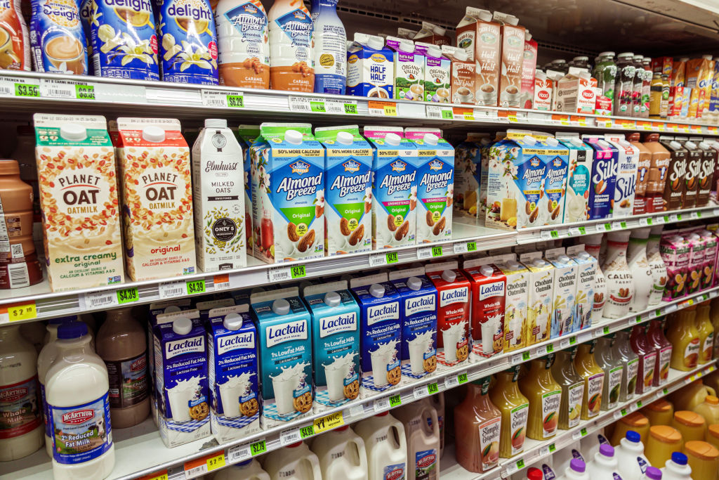 Miami Beach, Florida, Normandy Isle, Bay Supermarket, refrigerated dairy case, plant based non dairy substitute milk containers, Planet Oat Almond Breeze Lactaid