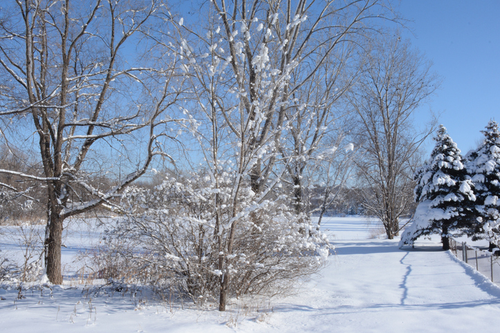 Urban Minnesota Winter Scenery