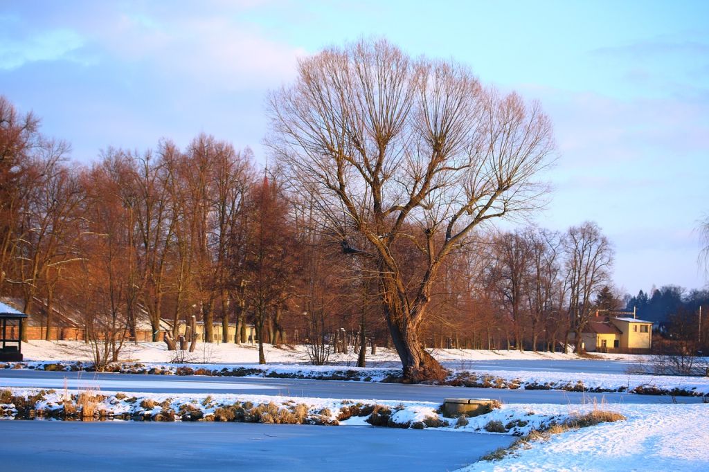 Winter Freeze Lake
