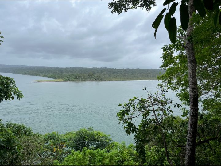 Horizonte canalero