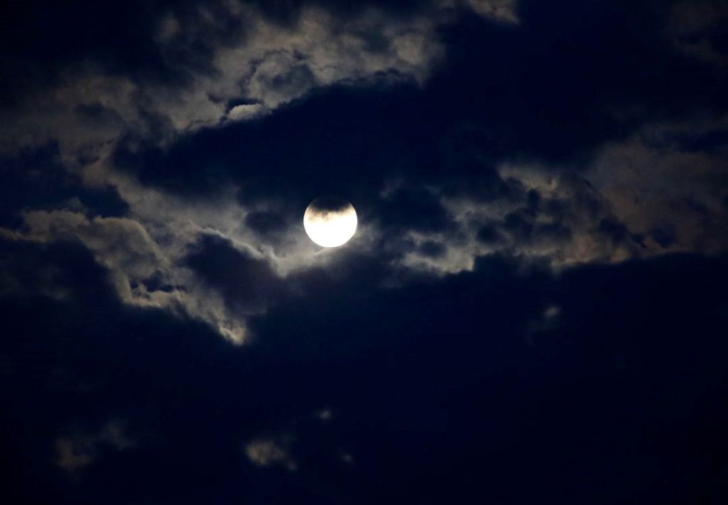 Destinos embrujados anticipan experiencia de Halloween  