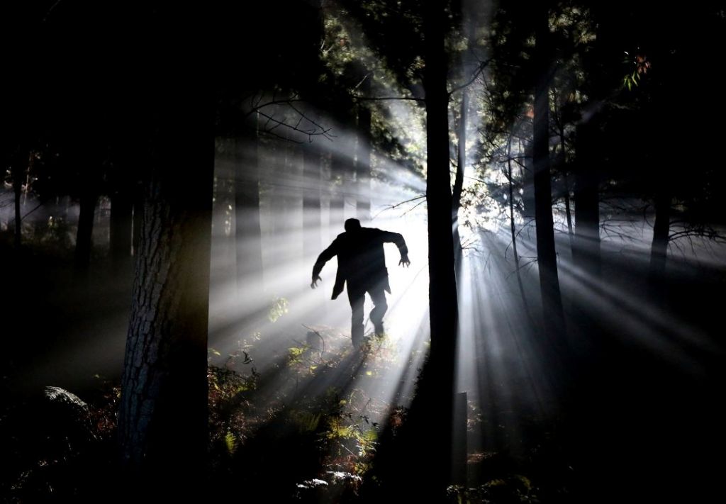 Horror en Indy, ¿Dónde anticipar experiencias de Halloween?