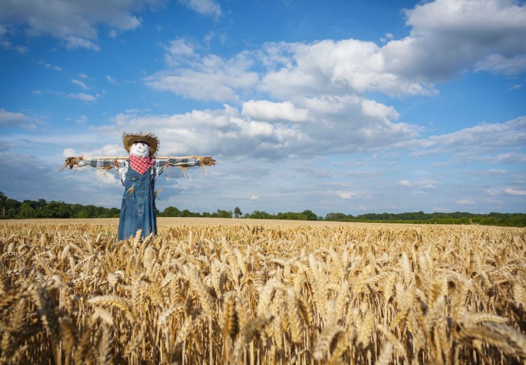 El Sendero de los Espantapájaros regresa a Indiana