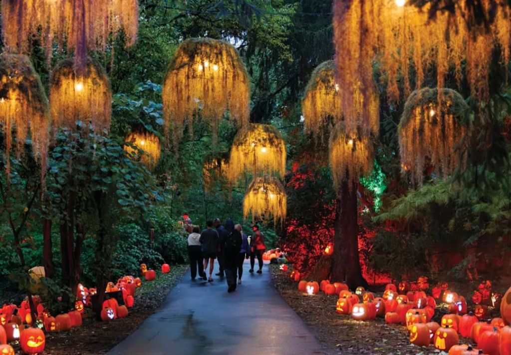Indianápolis celebra el otoño con luces, arte y calabazas