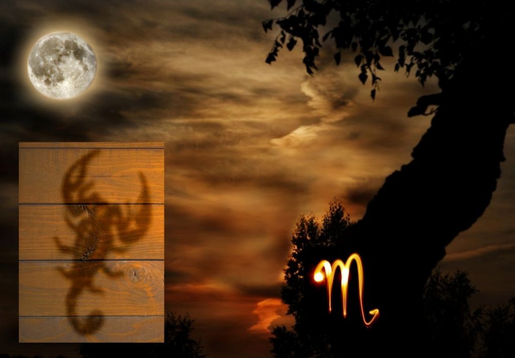 Horóscopo: Vientos de Halloween influyen del 6 al 12 de octubre
