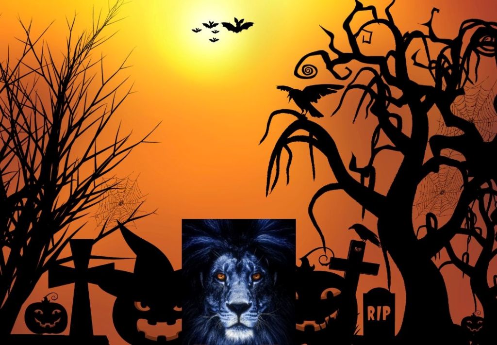Horóscopo: Vientos de Halloween influyen del 6 al 12 de octubre