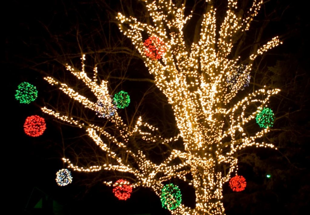 Inicia temporada de luces navideñas y ¡podrá disfrutarla sin costo!