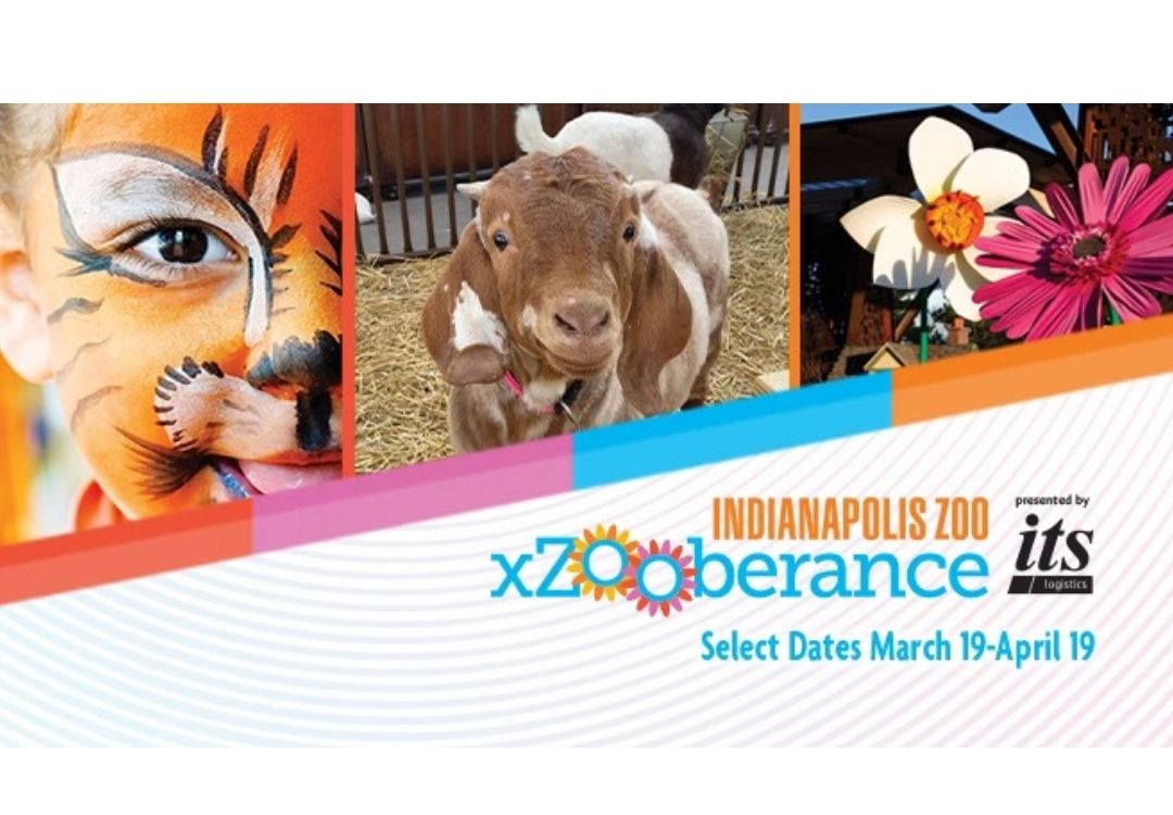 xZOOberance llena de vida la primavera en Indy